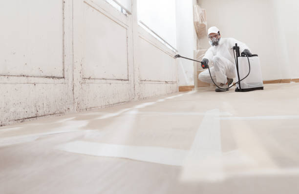 24/7 Emergency Commercial Mold Remediation experts in Delaplane, VA
