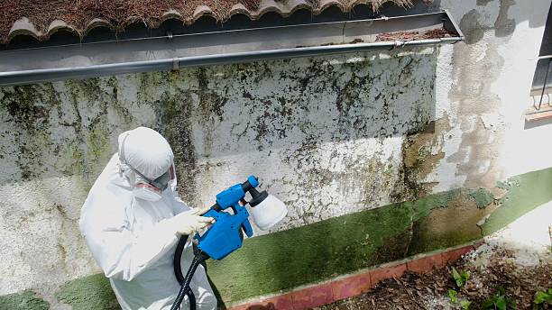Top rated local Commercial Mold Remediation specialists in Delaplane, VA
